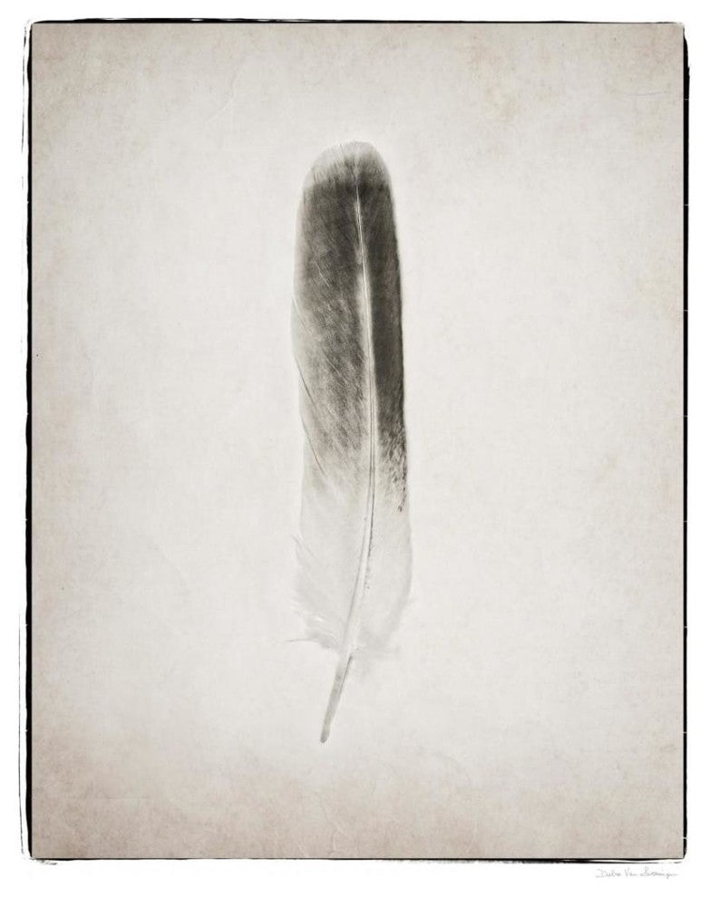 "Feather II - BW" Digital Paper Print by Debra Van Swearingen, 30"x37"