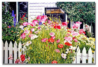 'Poppies on Niagara' Canvas Art by David Lloyd Glover