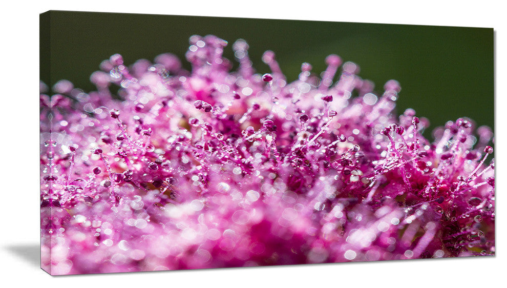 "Pink Little Flowers Close-Up View" Floral Wall Art, 60"x28", 1 Panel