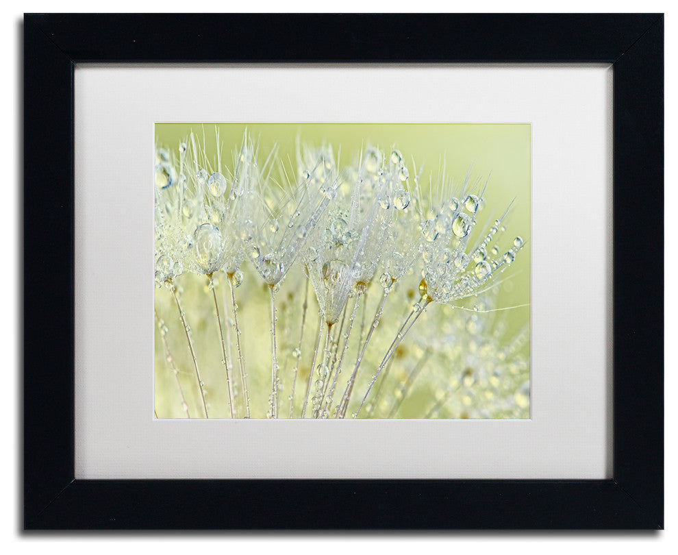 Cora Niele 'Dandelion Dew I' Matted Framed Art