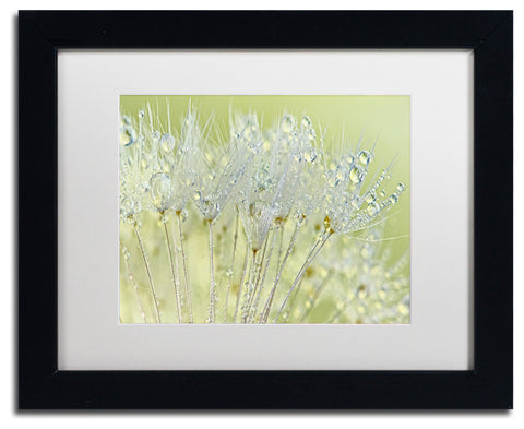 Cora Niele 'Dandelion Dew I' Matted Framed Art
