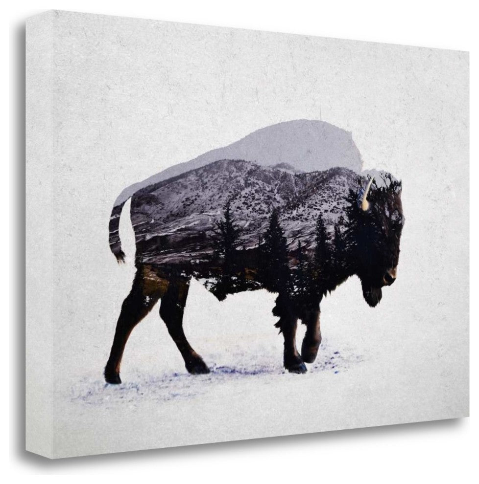"The American Bison" By Davies Babies, Giclee Print on Gallery Wrap Canvas
