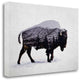 "The American Bison" By Davies Babies, Giclee Print on Gallery Wrap Canvas