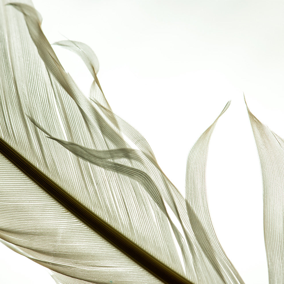 "Light As A, Three" Paper, 48"x24"