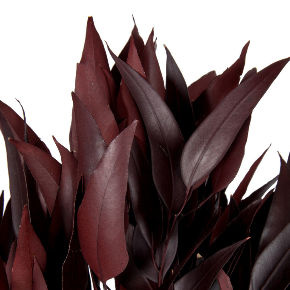 Vickerman H1Wil475 Natural Botanicals 18-20"X8" Red Eucalyptus Willow