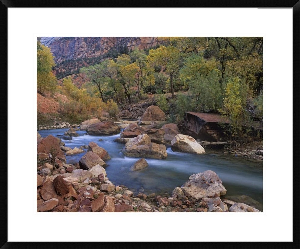 Virgin River Flowing Through Canyon In Autumn, Zion National Park, Utah, 30"x24"