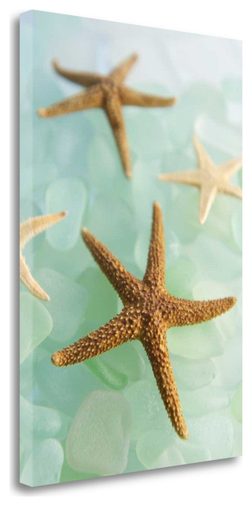 30" Seashell and Seaglass Giclee Wrap Canvas Wall Art