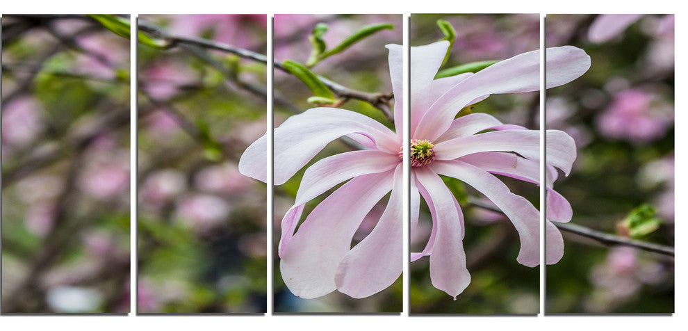 Beautiful Magnolia Flowers, Large Floral Canvas Art Print, 60"x28", 5 Panels