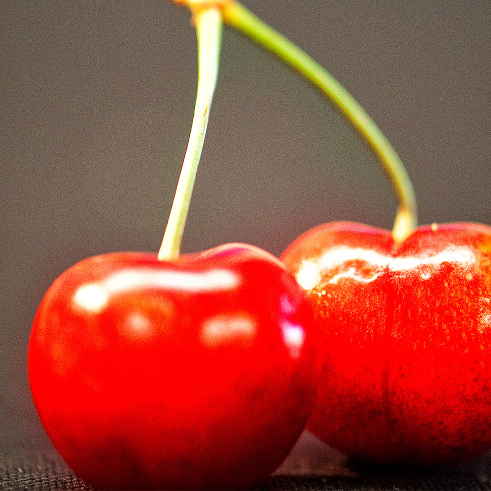 "Twin Cherries" Metal, 30"x30"