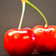 "Twin Cherries" Metal, 30"x30"