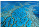 "Coral formation, Hardy Reef, Great Barrier Reef, Queensland" Paper Art, 62"x42"