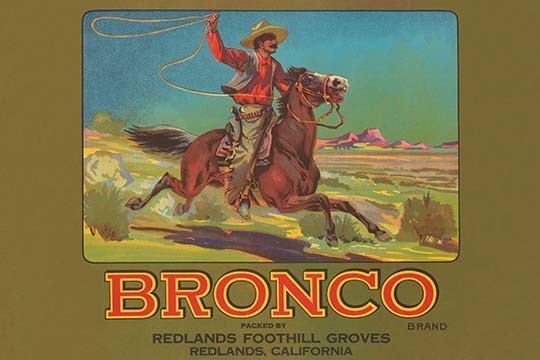 Bronco Brand Crate Label- Fine Art Giclee Print 24" x 36"