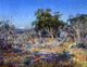 Julian Onderdonk A January Day in the Brush Country Wall Decal