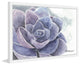 "Purple Succulent" Framed Painting Print, 45"x30"