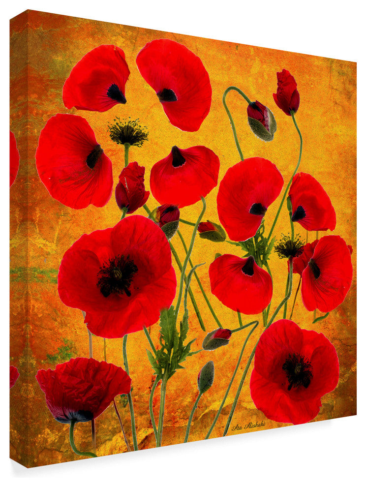 "Poppy Flowers 2" by Ata Alishahi, Canvas Art, 14"x14"