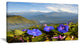 Stunning Mountain Terrain with Flowers, Landscape Canvas Art Print, 32"x16"