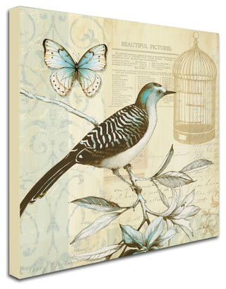 'Freedom I' Canvas Art by Lisa Audit