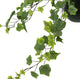 Trailing Ivy in a Ceramic Pot