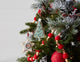 Tree and Star Cookie Cutter Ornament, 12-Piece Set
