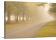 "Take Me Home" Wrapped Canvas Art Print, 24"x16"x1.5"