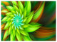 Huge Clear Green Fractal Flower, Floral Canvas Art Print, 40"x30"
