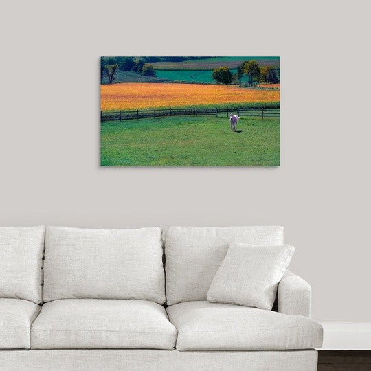 "Amish Country" Wrapped Canvas Art Print, 36"x22"x1.5"