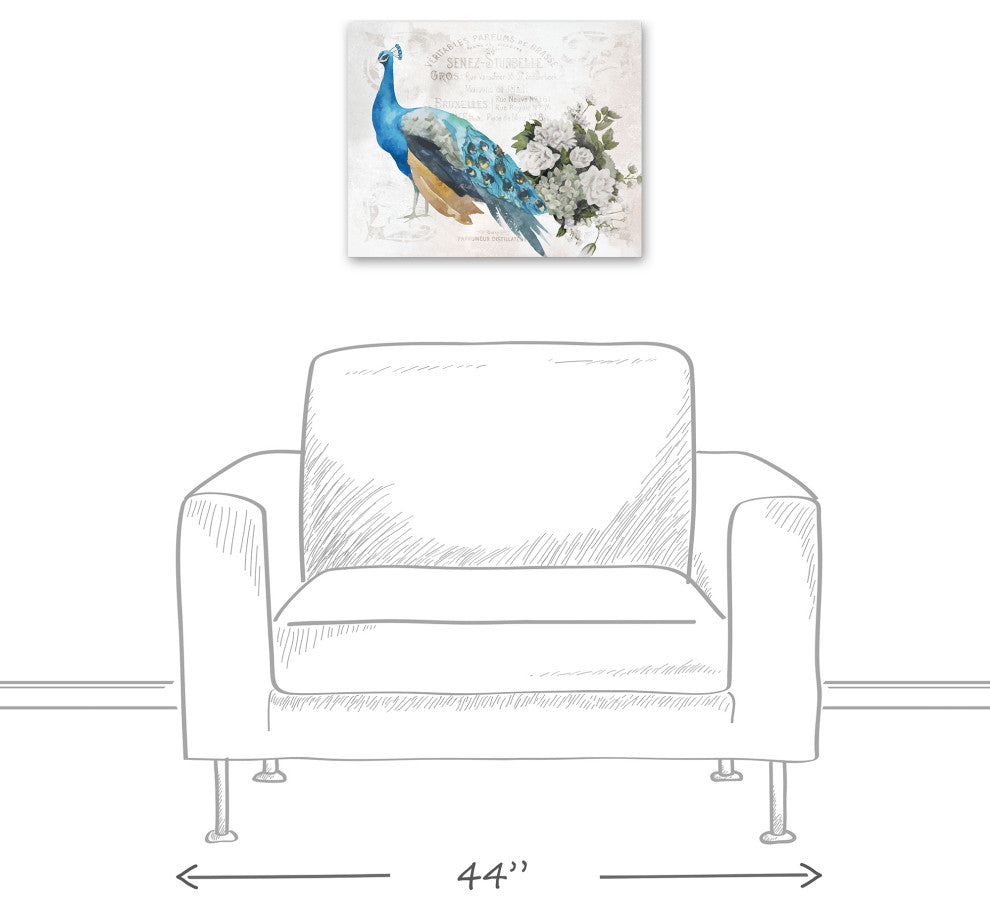 French Peacock 2 16x20 Canvas Wall Art