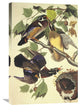"Summer Or Wood Duck" Artwork, 20" x 30"