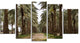 Date Palm Plantation Photography, Modern Forest Canvas Art, 60"x32", 5 Panels