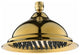 Reno 8" Round Brass Copper Rain Shower Head, Titanium Gold