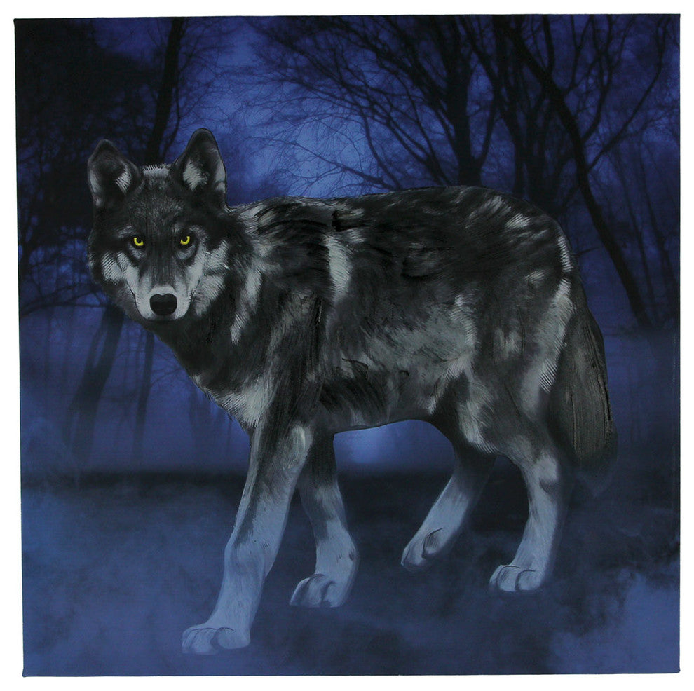 Lone Wolf In the Blue Misty Moonlit Forest Canvas Print