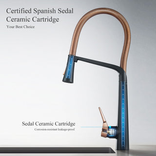 HIGOLD BN2.0 High Arc Spring Kitchen Faucet with Magnetic Technology