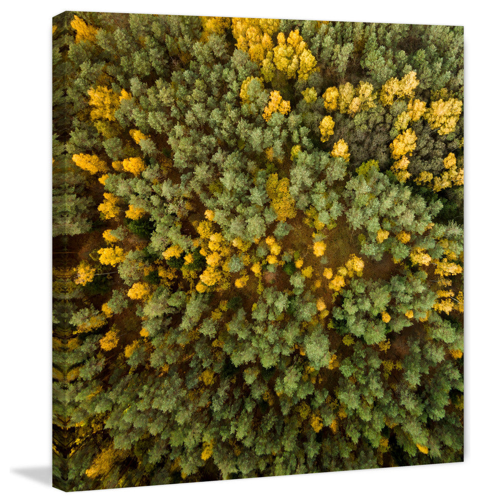 "Yellow and Green Trees" Print on Canvas by Karolis Janulis