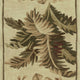 10' Ivory Hand Tufted Tropical Indoor Runner Rug