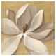 "Sunset Flower I on Gold" Digital Paper Print by Silvia Vassileva, 20"x20"