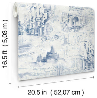 Harry Potter Map Peel & Stick Wallpaper