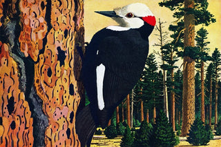 "Woodpecker" Painting Print on Wrapped Canvas