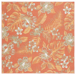 Safavieh Sunrise Collection SUN671 Indoor-Outdoor Rug, Ivory/Rust Sage, 6'7" Square