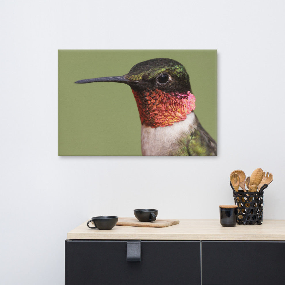 Close-up Ruby-throated Hummingbird Wildlife Photograph Canvas Wall Art Print, 24" X 36"