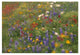 "Wildflowers blowing in the wind, Hill Country, Texas" Paper Art, 26"x18"