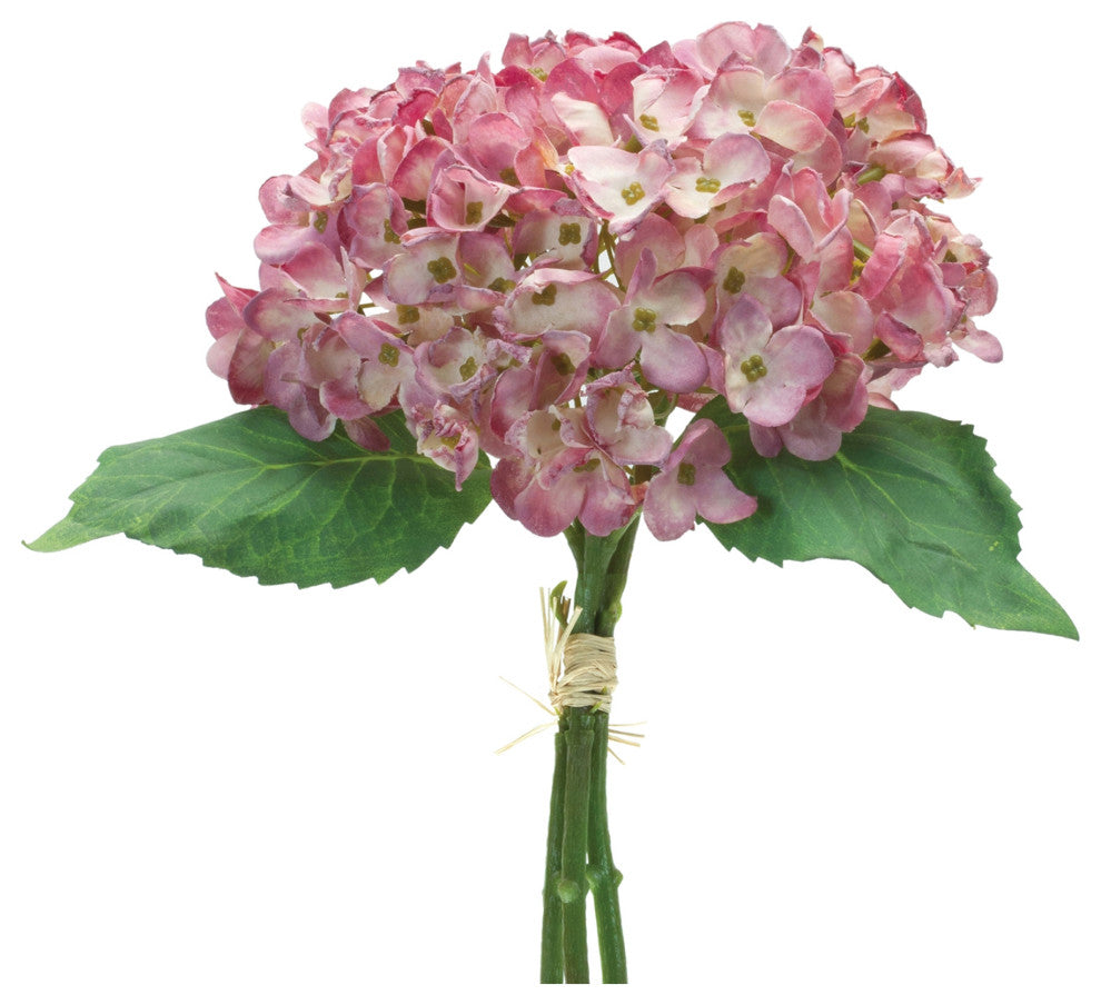 Hydrangea Bundle, Set of 6