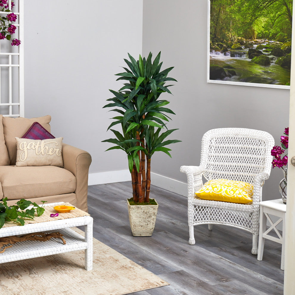 5' Dracaena Artificial Tree, Country White Planter