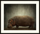Hippo Still Life, Giclee Reproduction Artwork