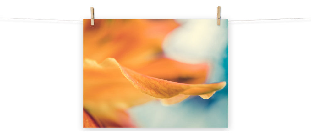 Serene Petals of Life Floral Nature Photography Unframed Wall Art Print, 18" X 24"