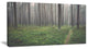 Foggy Dense Forest with Grass, Modern Forest Canvas Art, 32"x16"