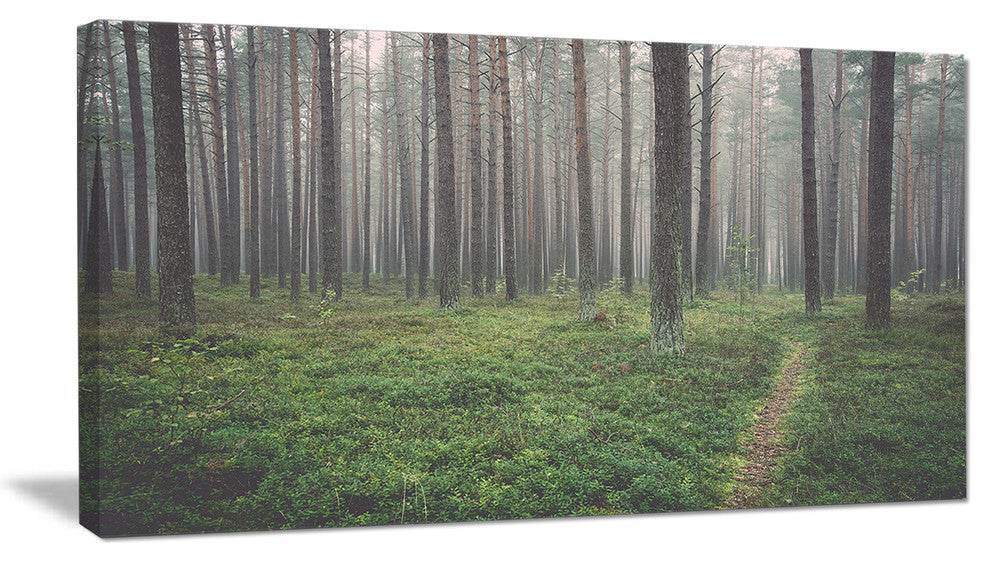 Foggy Dense Forest with Grass, Modern Forest Canvas Art, 32"x16"