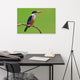 Black Capped Kingfisher Bird on Perch Wildlife Photograph Canvas Wall Art Print, 24" X 36"