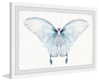"Butterfly Beauty" Framed Painting Print, 24x16