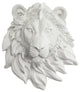 Wall Charmers Mounted Resin Lion Head, White, Mini