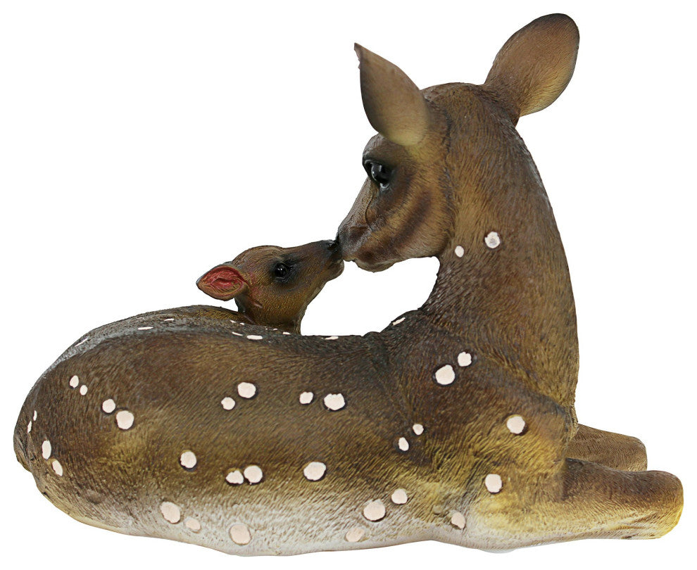 Small Mothers Love Doe And Fawn